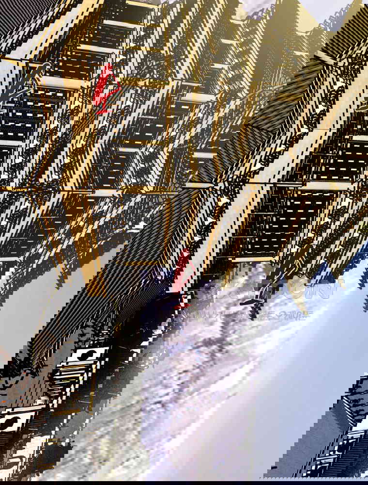 1730239011625xaz7cxwvm4a.jpg