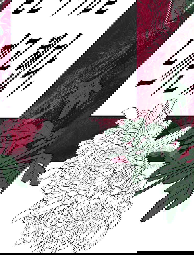 17303919002634k0cxv26kvm.jpg
