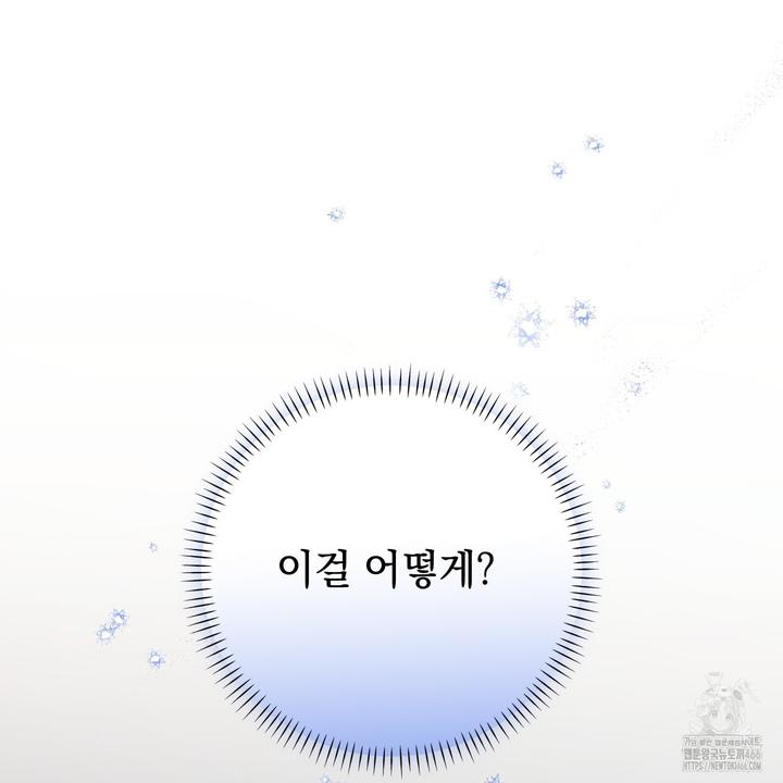 173154648132244th9s4ogar.jpg