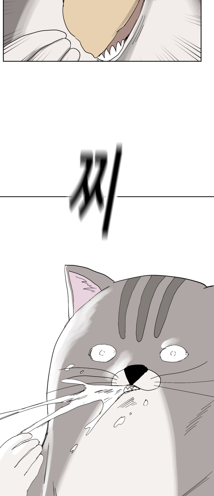 1730498896659ulrrdbjhlme.jpg