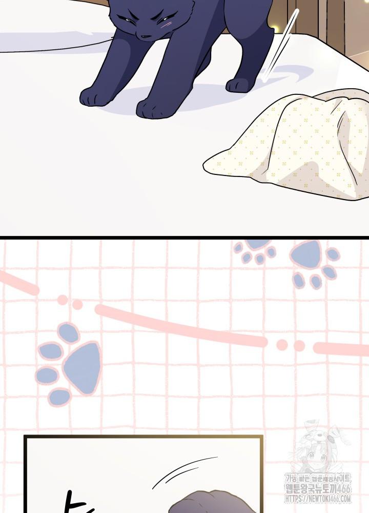 1732893552778kca223oijc.jpg