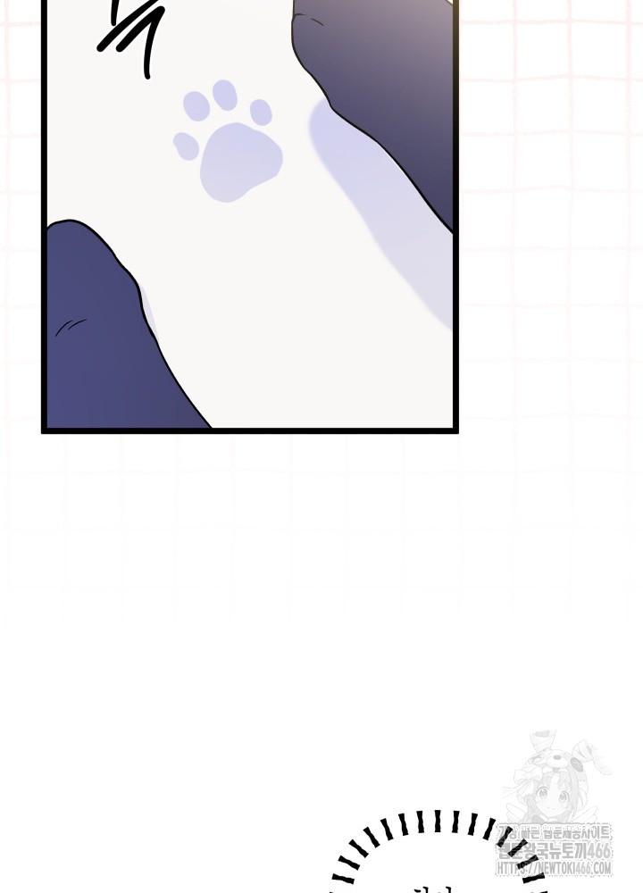 1732893552934i1b96ihfd7.jpg