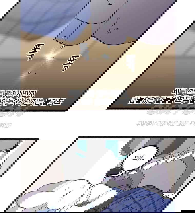 1730662087488g7ajfsce5u6.jpg