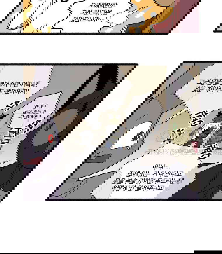 17306620888886fzoo3f8cwk.jpg