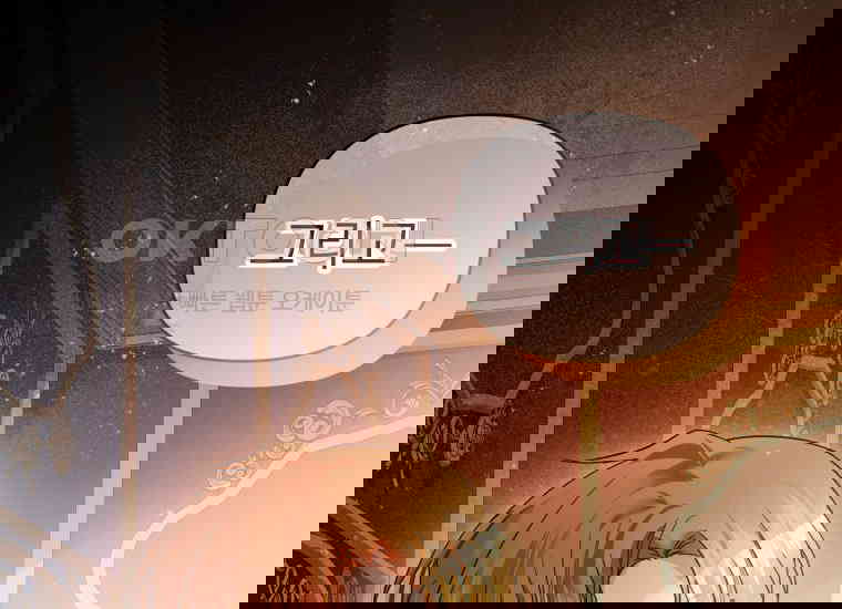 1730658880215yqxsfurbbl.jpg