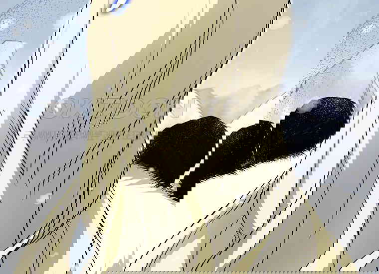 1730749117878mhbjhqkxup9.jpg