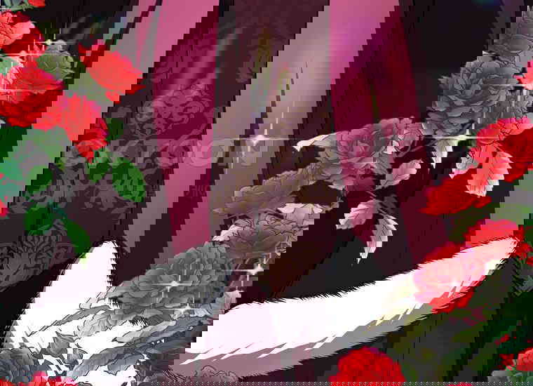 1730749121742fre2uyqkt64.jpg