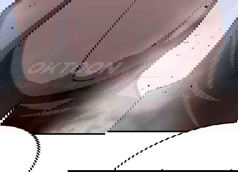1731099006769oi9vyz9mkhg.jpg