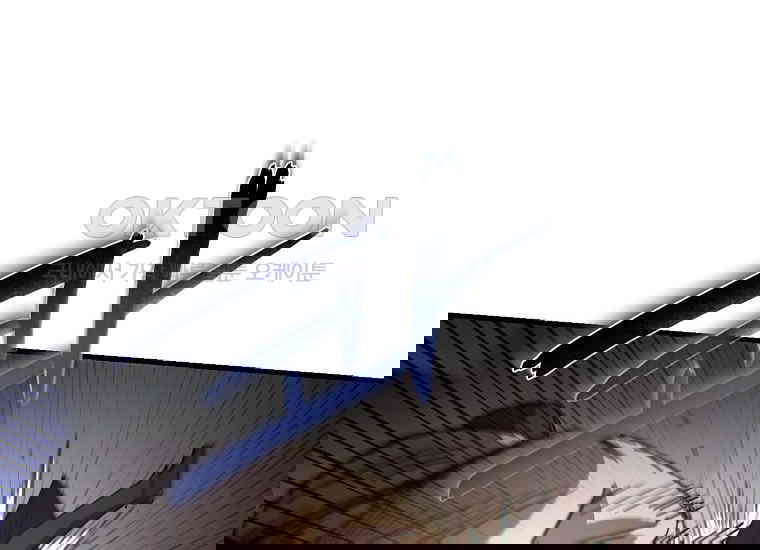 17310990139230qthc9p1ack.jpg