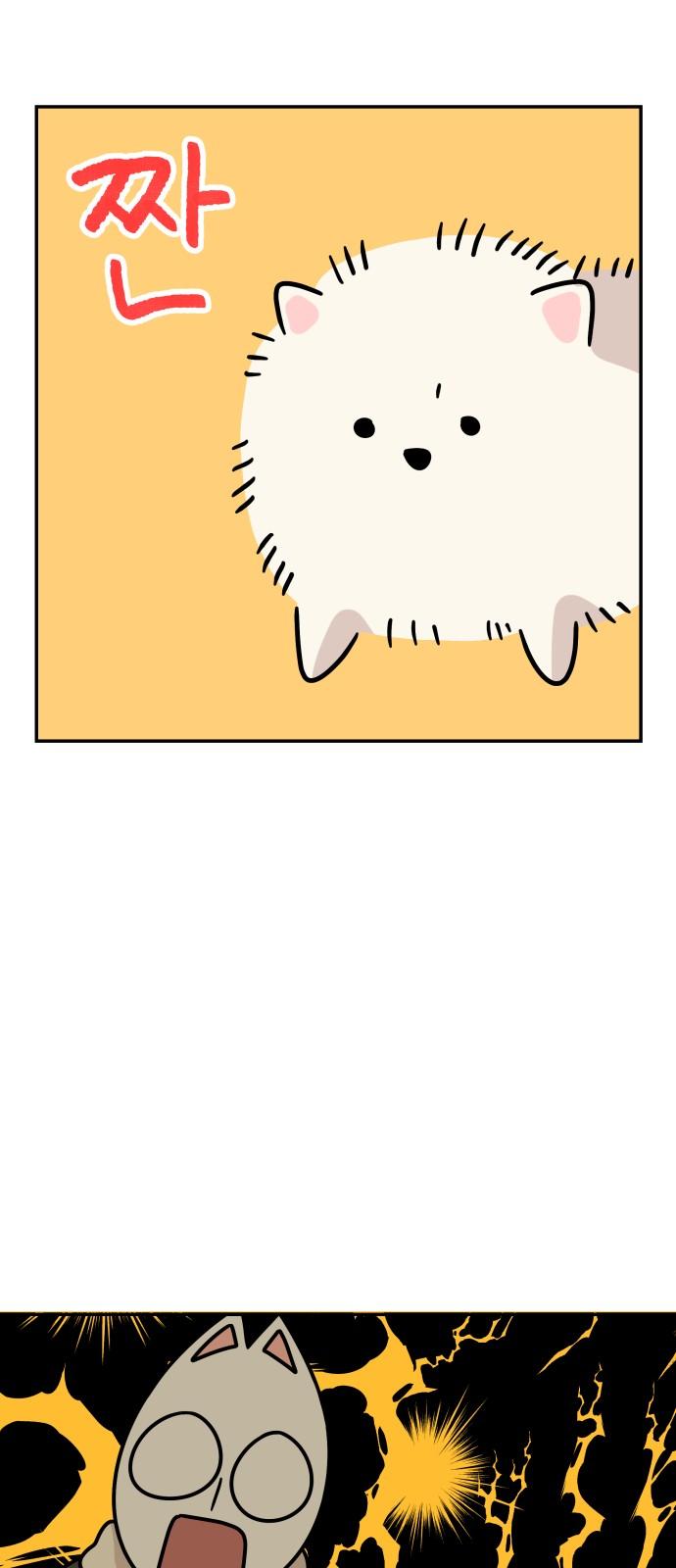 1737498689634k8w3diqabal.jpg