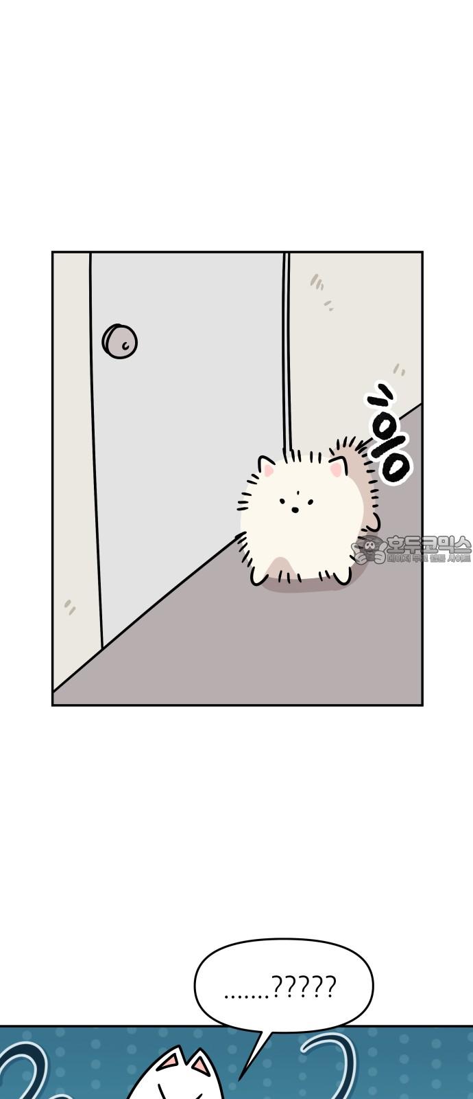 1737498693961fbtuhbnlbnc.jpg