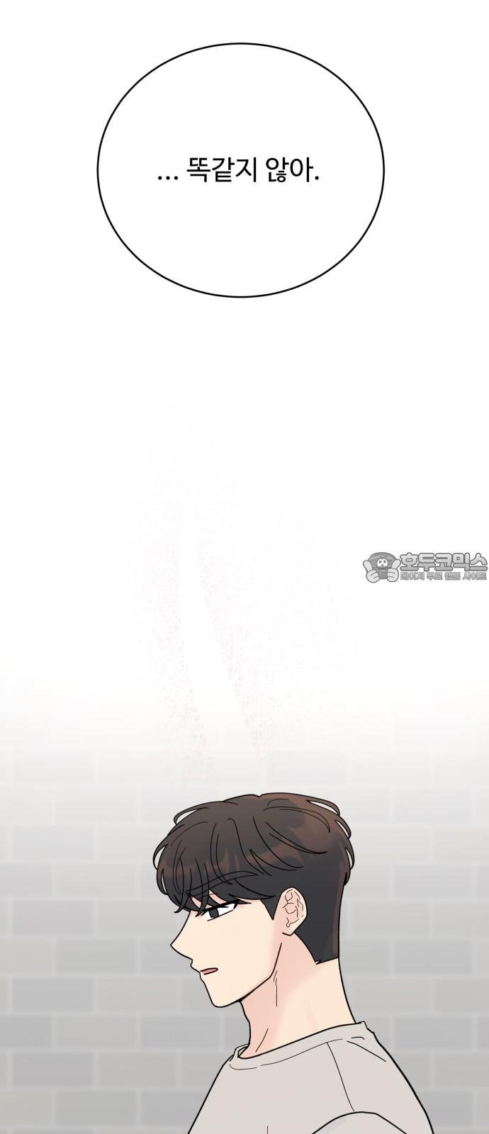 1740264937162pmt2x9kywy.jpg