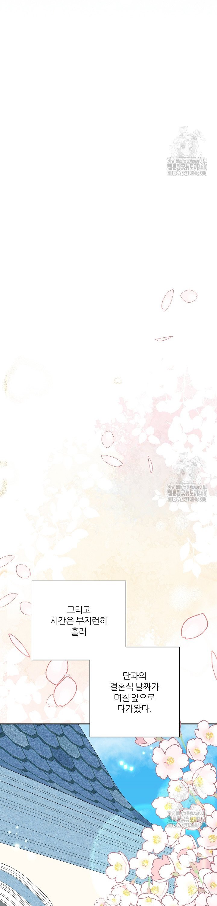 1741821882624eelclgwrpx.jpg