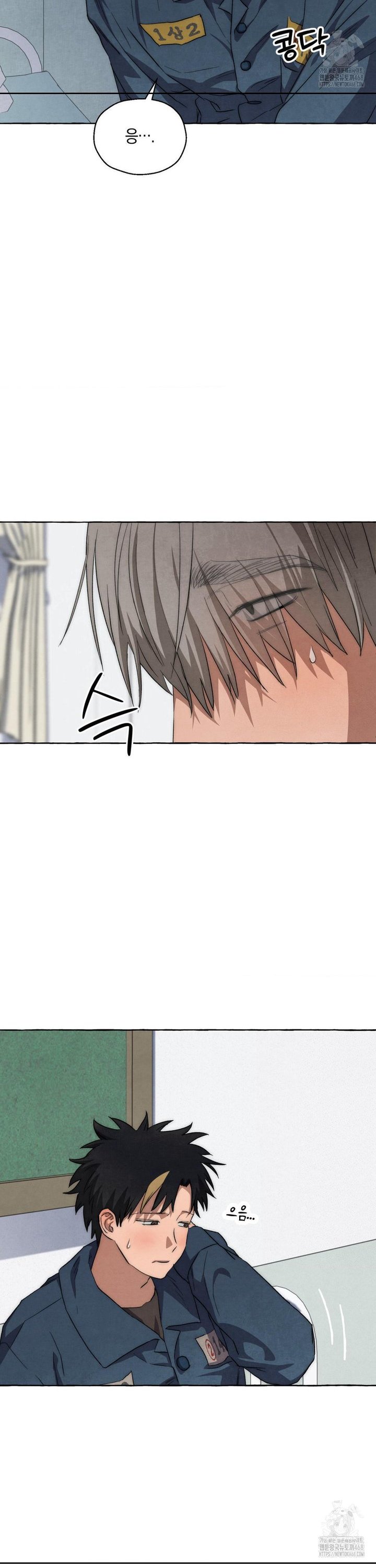 1744327951499htcjrti5tj.jpg