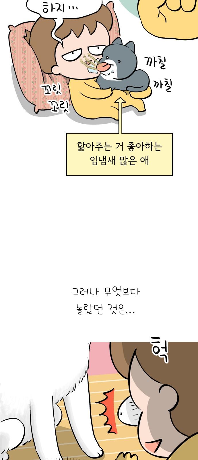 1744643806585grp1jwq26pr.jpg