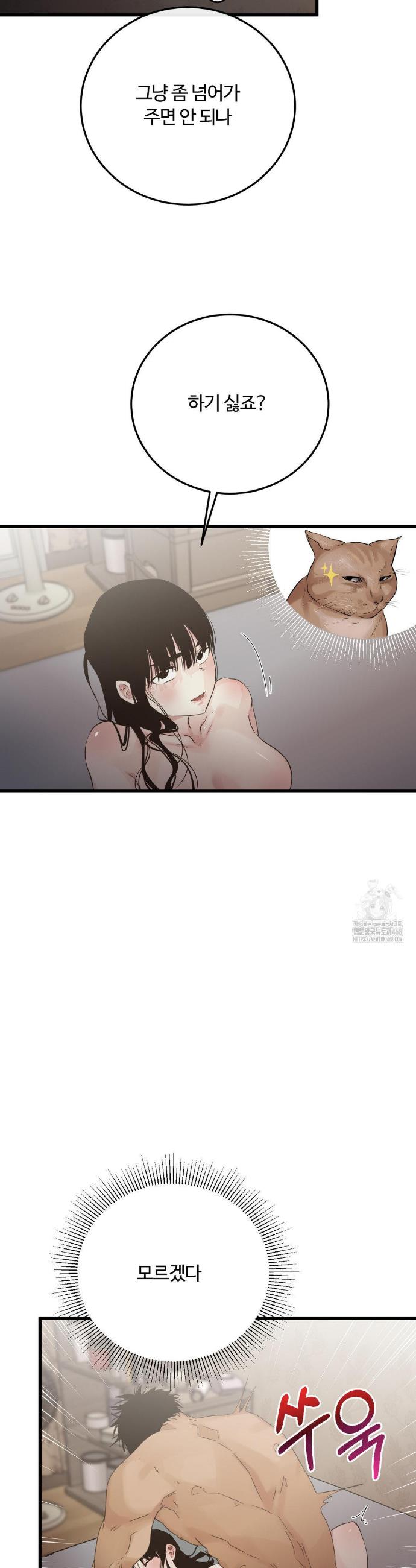 1743976538554ylaie7lf66q.jpg